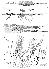 Conf_Rio_Guanaco.gif (126401 bytes)