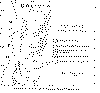 Distribución_cuencas_terciarias_.gif (44961 bytes)