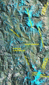 LARAMADA.gif (421444 bytes)