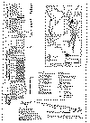 PERFILES_CUENCA_PUNA.gif (66098 bytes)