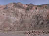 Perfil R Mendoza 6.jpg (86393 bytes)