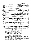 Perfiles Salr de Cahuchari.gif (53888 bytes)