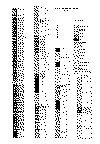Perfiles gr tepuel.gif (81406 bytes)
