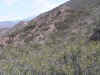 Rio blanco 70.jpg (90004 bytes)
