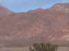 Tabolango 12.jpg (44443 bytes)