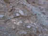 blanco 2.jpg (917893 bytes)