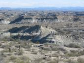 Formación Chañares