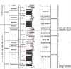columna n dorsal.jpg (78747 bytes)