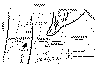 configuracion cuencas gondwanicas NOA.gif (15782 bytes)