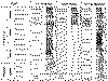 correlacion tres cuencas.gif (52284 bytes)