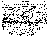 corte eng.gif (43143 bytes)