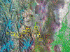 wpe16.gif (398194 bytes)