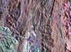 wpe7.jpg (105120 bytes)