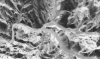 wpe14.gif (128761 bytes)