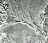 wpe3C.gif (224697 bytes)