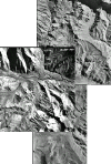 wpe43.gif (290320 bytes)