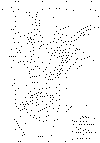 isp_balbuena.gif (87972 bytes)