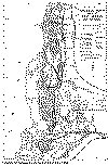 mapa de la cuenca.gif (96991 bytes)
