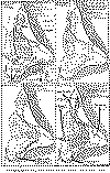 paleo oxf titoniano.gif (106808 bytes)