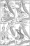 paleogeografico lias malm.gif (102438 bytes)