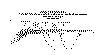 piquete.gif (44941 bytes)