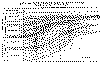 wpe14.gif (178519 bytes)