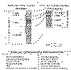 wpe18.gif (42233 bytes)