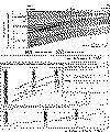 wpe29.gif (165650 bytes)