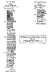 wpe8.gif (23922 bytes)