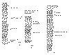 wpe1.gif (31477 bytes)