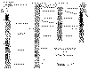 wpe1.gif (45928 bytes)