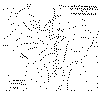 wpe36456.gif (40856 bytes)