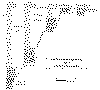 wpe5.gif (35461 bytes)