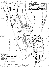 wpe23775.gif (64370 bytes)