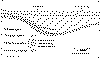 wpe3.gif (31080 bytes)
