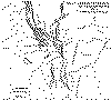 wpe14355.gif (51273 bytes)