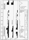 transam tandil.gif (187022 bytes)