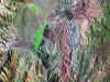 up.jpg (227294 bytes)