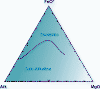 AFM_color.gif (69786 bytes)