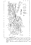 Mapa Chilecito a Tinogasta.gif (122722 bytes)