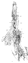 Mapa bn Famatina.gif (83987 bytes)