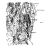 Mapa bn Sector central (Chilecito).gif (62058 bytes)