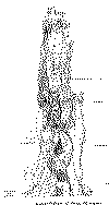 Mapa bn Sector norte (tinogasta).gif (27726 bytes)