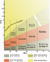 Pecerrillo_y_Taylor.gif (231175 bytes)