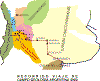 RECORRIDO ARG 2002.gif (45769 bytes)
