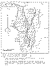Sierra de Narvaez y Chaschuil.gif (114400 bytes)