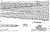 Variaciones faciales de Fm. Chaschuil.gif (32563 bytes)