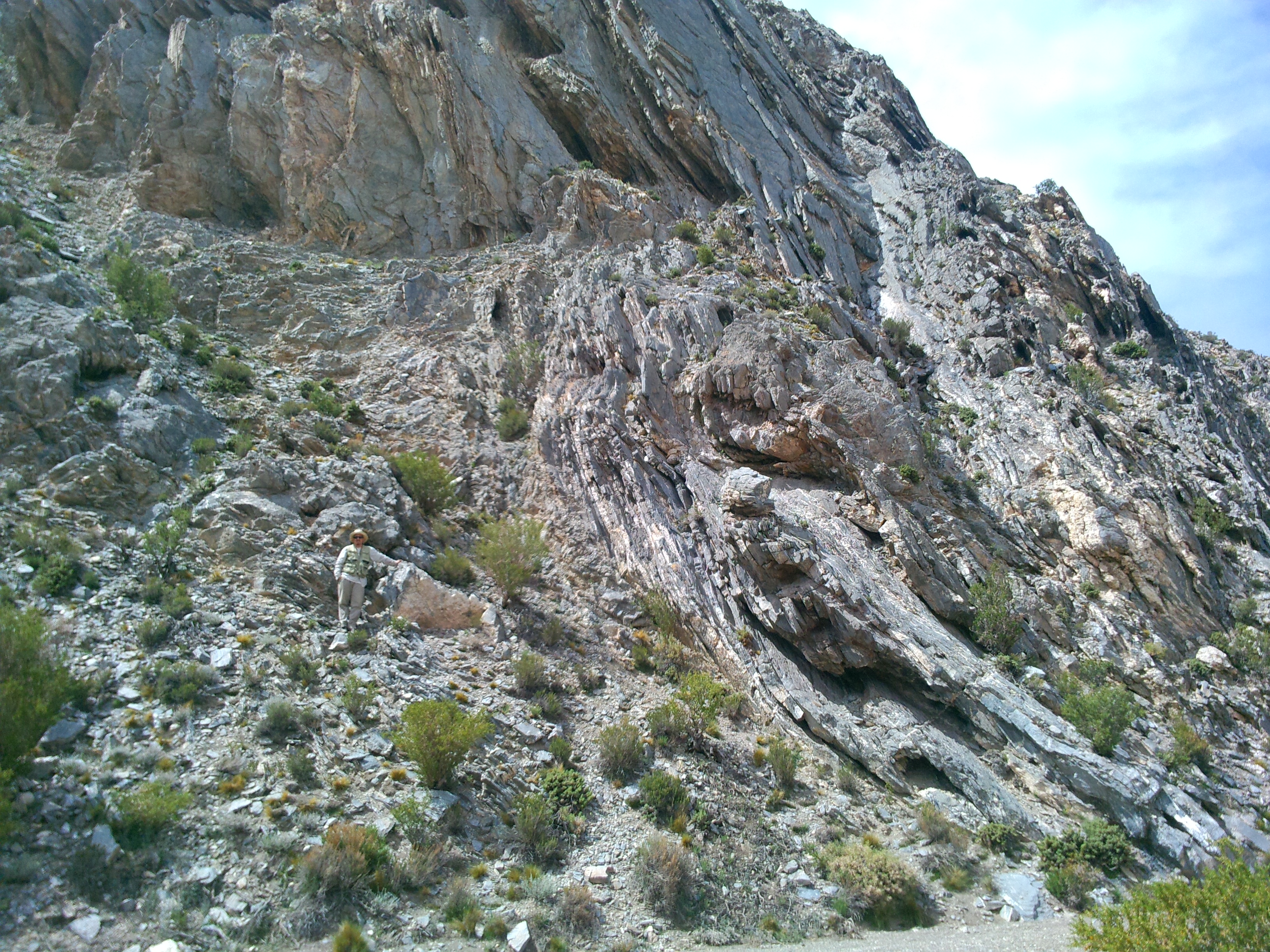 FACIES DE CALIZAS DE BONILLA