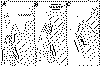 clemens.gif (56179 bytes)