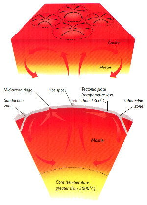 convection diagram small image.jpg (34847 bytes)